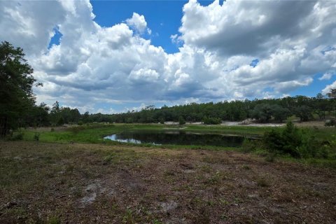 House in Hawthorne, Florida 3 bedrooms, 150.5 sq.m. № 2109883 - photo 25