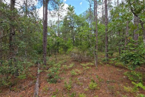 House in Hawthorne, Florida 3 bedrooms, 150.5 sq.m. № 2109883 - photo 28