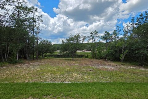 House in Hawthorne, Florida 3 bedrooms, 150.5 sq.m. № 2109883 - photo 24