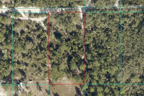 Land in Dunnellon, Florida № 2164202