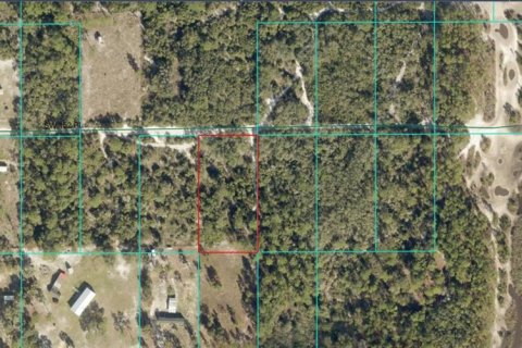 Land in Dunnellon, Florida № 2164202 - photo 2