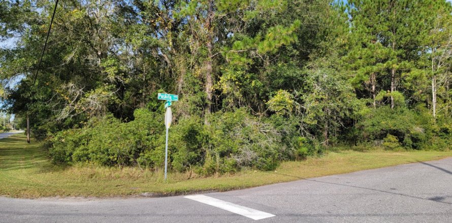Land in Jacksonville, Florida № 765825