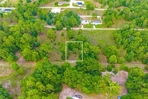 Terrain à vendre à Ocala, Floride № 2233607 - photo 4
