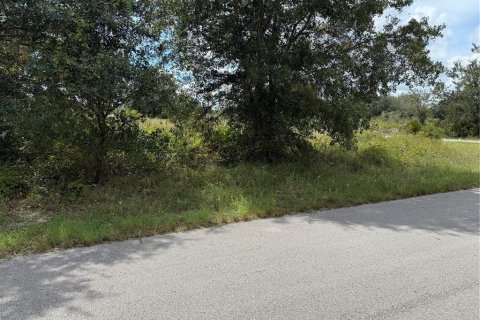 Land in Lehigh Acres, Florida № 2164275 - photo 3