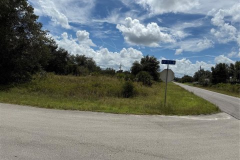 Land in Lehigh Acres, Florida № 2164275