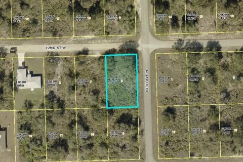 Land in Lehigh Acres, Florida № 2164275 - photo 5
