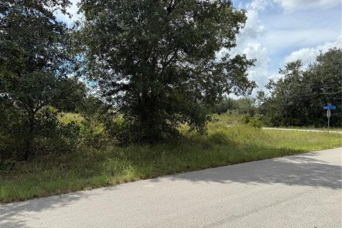 Land in Lehigh Acres, Florida № 2164275 - photo 4