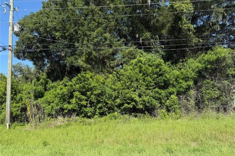 Land in Summerfield, Florida № 2202789