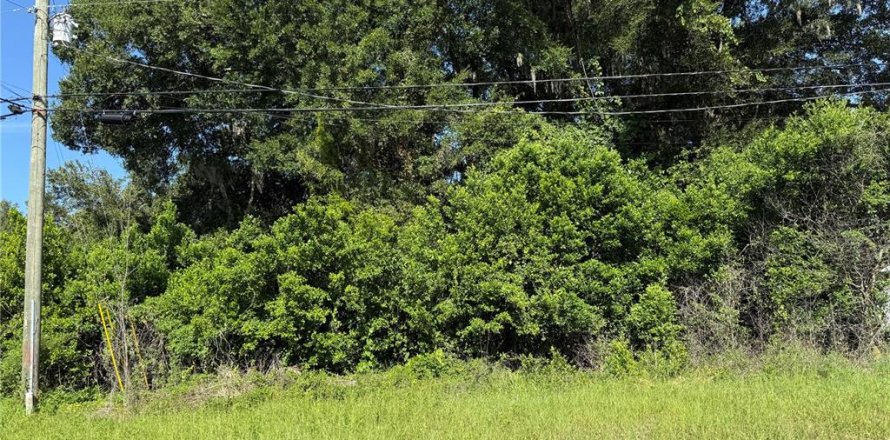Land in Summerfield, Florida № 2202789