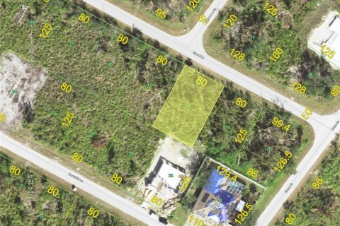 Land in Port Charlotte, Florida № 2159620 - photo 4