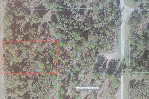 Land in Dunnellon, Florida № 1388614 - photo 1