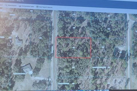 Land in Dunnellon, Florida № 1388614 - photo 3