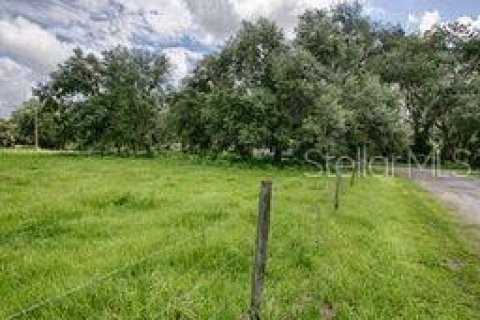 Купить земельный участок в Бушнелл, Флорида № 2214363 - фото 5