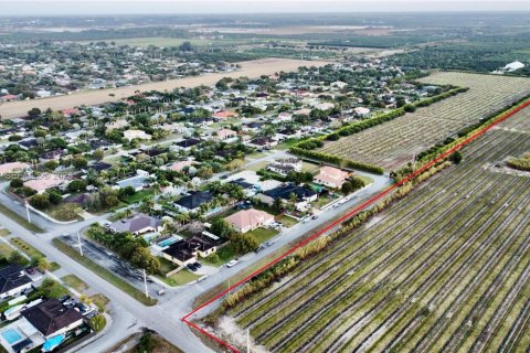 Land in Homestead, Florida № 2080710 - photo 3