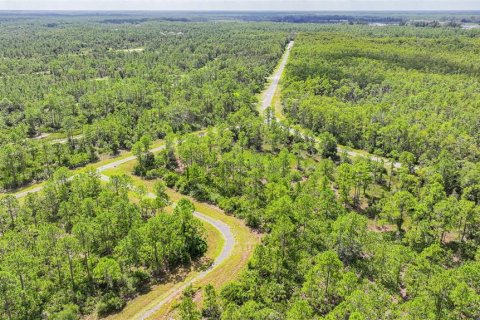Land in Lehigh Acres, Florida № 2164119 - photo 5
