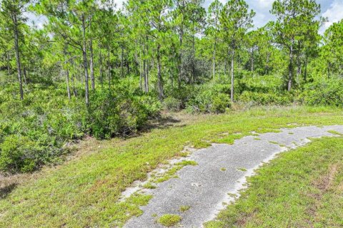 Land in Lehigh Acres, Florida № 2164119 - photo 4