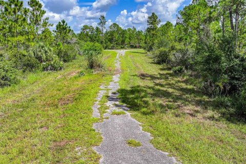 Land in Lehigh Acres, Florida № 2164119 - photo 3