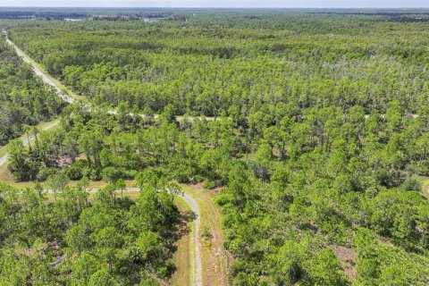 Land in Lehigh Acres, Florida № 2164119 - photo 8
