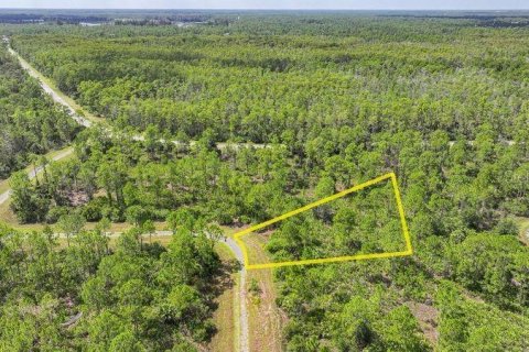 Land in Lehigh Acres, Florida № 2164119 - photo 7