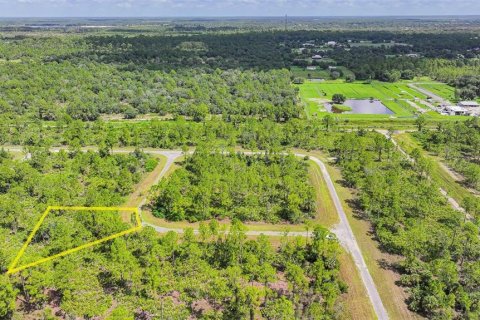 Terreno en Lehigh Acres, Florida № 2164119