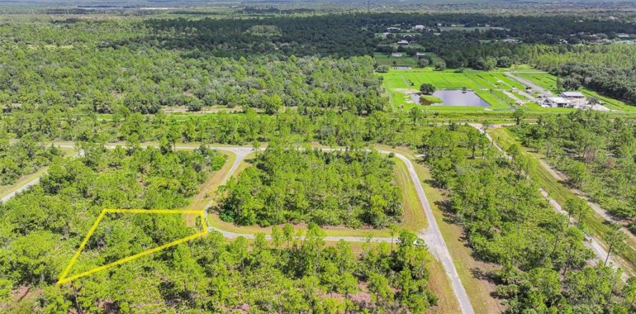 Land in Lehigh Acres, Florida № 2164119
