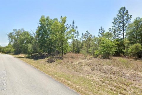 Land in Dunnellon, Florida № 2394067 - photo 2