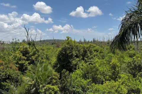 Condominio en venta en Doral, Florida, 2 dormitorios, 89.46 m2 № 2029734 - foto 9