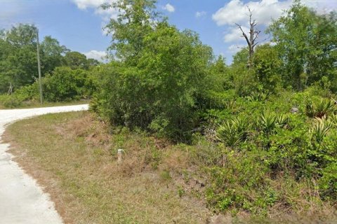 Land in Lake Placid, Florida № 2158684 - photo 2