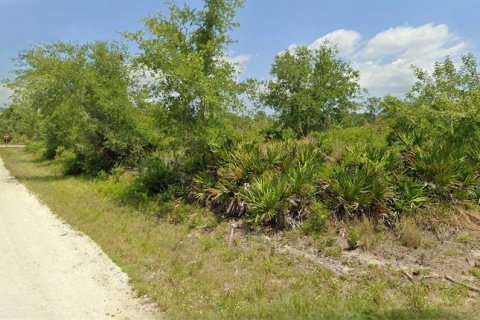 Land in Lake Placid, Florida № 2158684 - photo 3