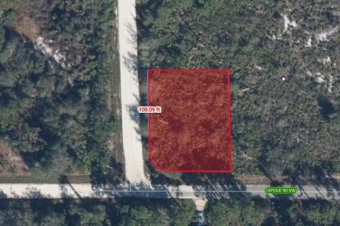 Land in Lake Placid, Florida № 2158684 - photo 4