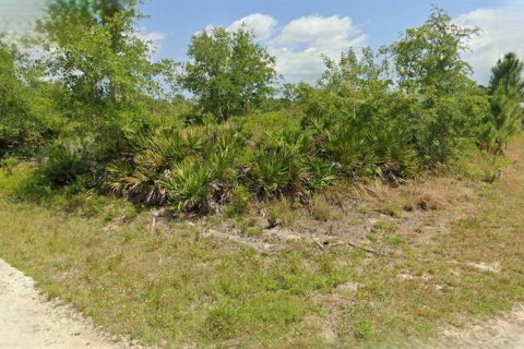 Land in Lake Placid, Florida № 2158684