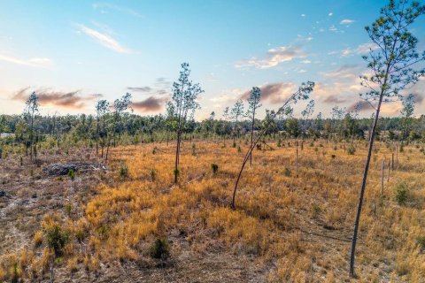 Land in Live Oak, Florida № 2108923 - photo 8