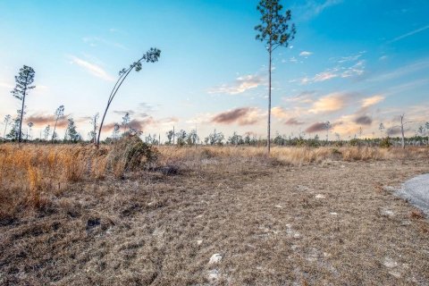Land in Live Oak, Florida № 2108923 - photo 13