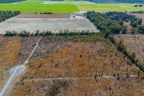 Land in Live Oak, Florida № 2108923 - photo 11