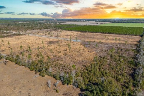 Land in Live Oak, Florida № 2108923 - photo 5