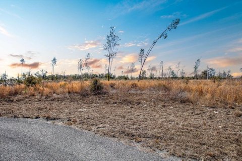 Land in Live Oak, Florida № 2108923 - photo 14