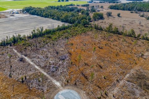 Land in Live Oak, Florida № 2108923 - photo 12