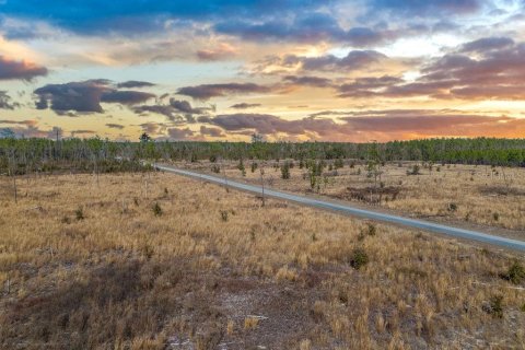 Land in Live Oak, Florida № 2108923 - photo 4