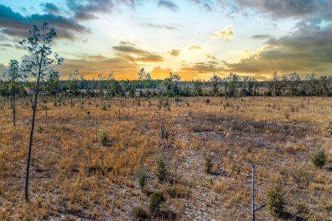 Land in Live Oak, Florida № 2108923 - photo 10