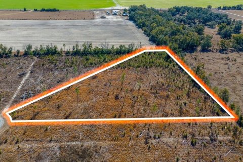 Land in Live Oak, Florida № 2108923 - photo 2