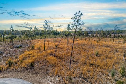 Land in Live Oak, Florida № 2108923 - photo 3