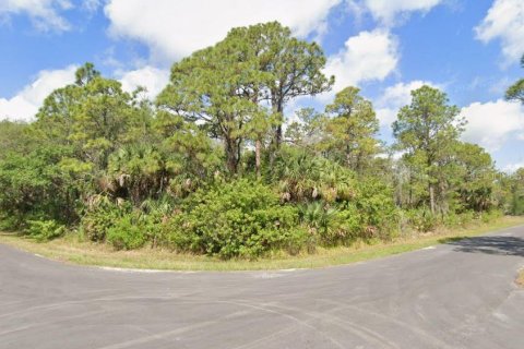Land in Port Charlotte, Florida № 2162540 - photo 2