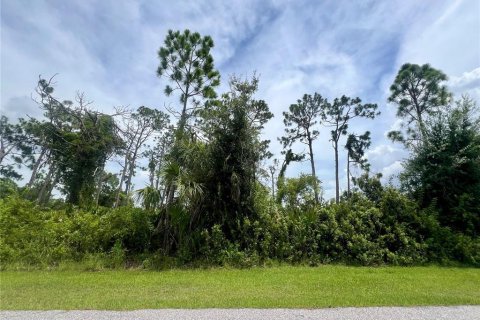 Land in Port Charlotte, Florida № 2160069