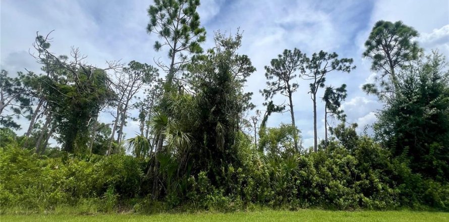 Land in Port Charlotte, Florida № 2160069