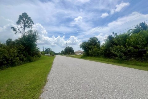 Land in Port Charlotte, Florida № 2160069 - photo 2