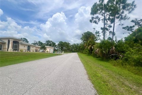 Land in Port Charlotte, Florida № 2160069 - photo 3