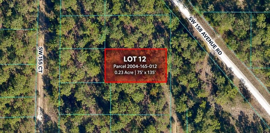 Terrain à Ocala, Floride № 2389431