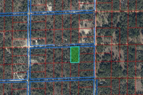 Land in Bronson, Florida № 2159697 - photo 4