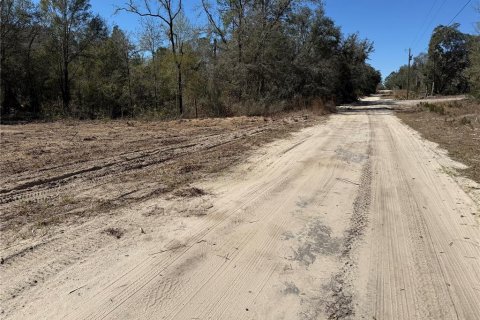 Land in Bronson, Florida № 2159697 - photo 2