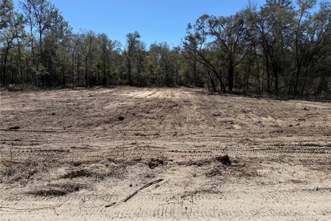 Land in Bronson, Florida № 2159697